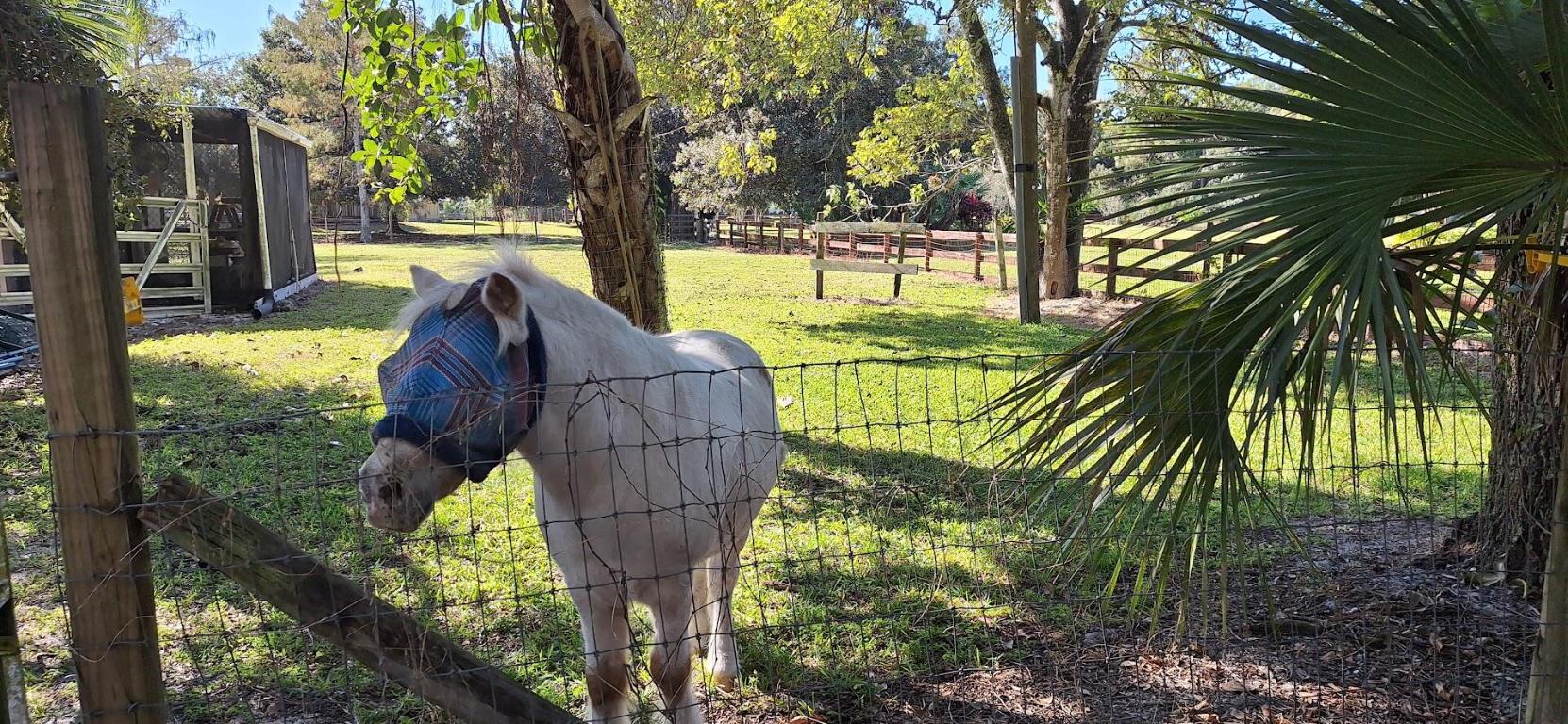 THE ACREAGE - Residential