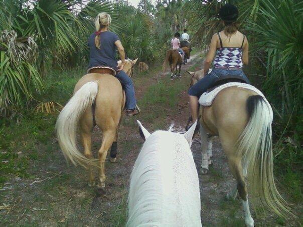 THE ACREAGE - Residential