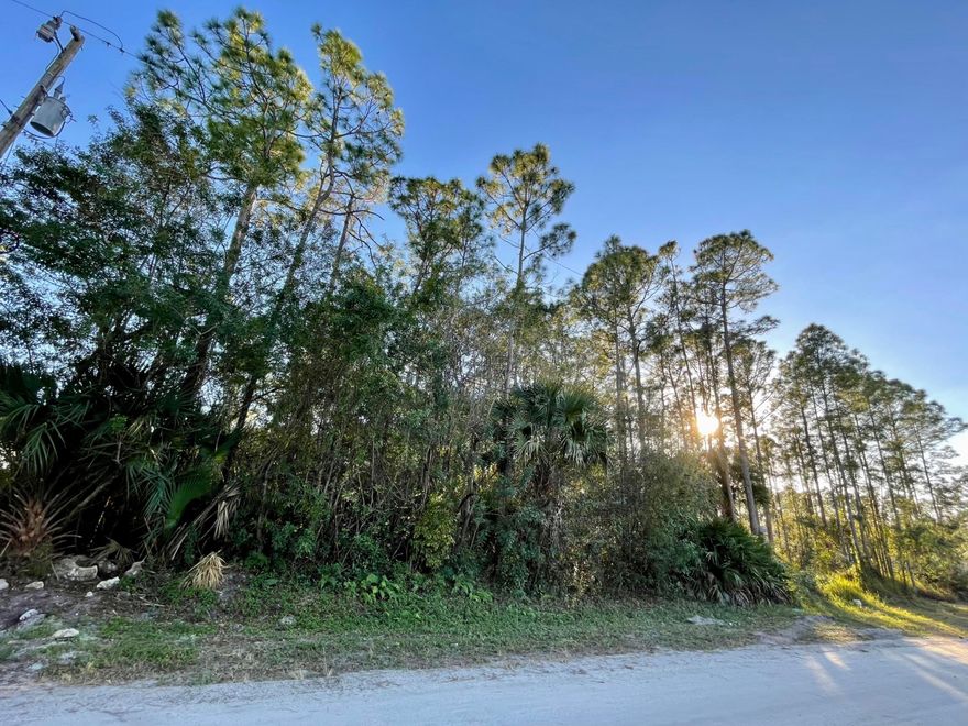 Vacant land 1.13 acres Next to 17040 70 st n