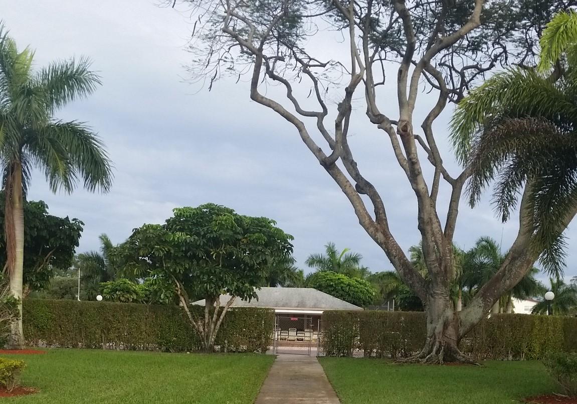 FANSHAW AT CENTURY VILLAGE CONDO - Residential