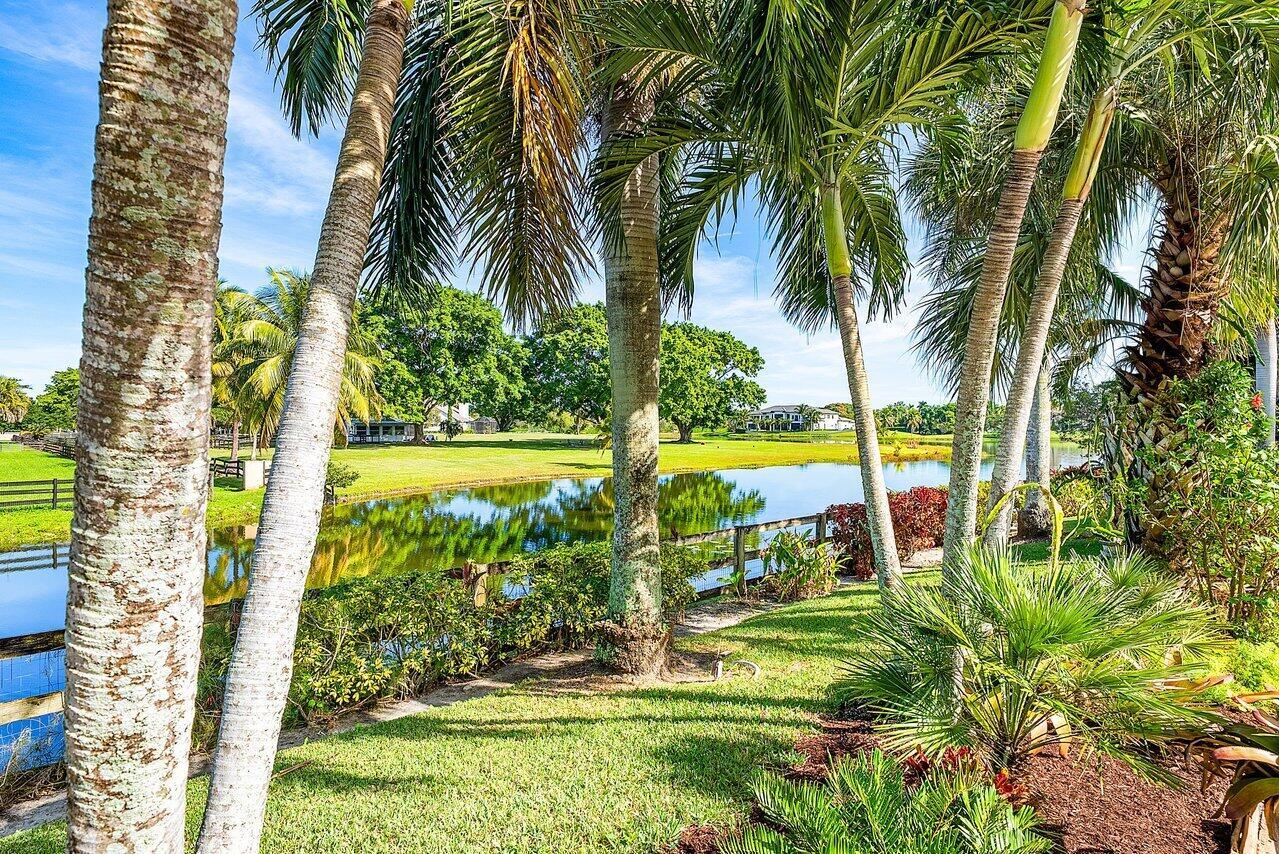 TIERRA DEL REY - Residential