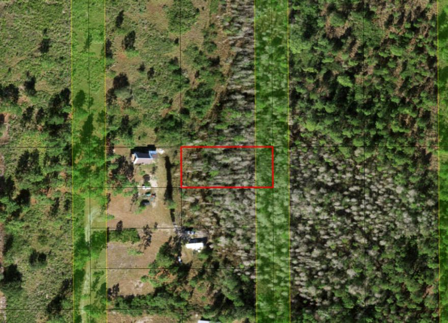 Hunt, ride and camp in Holopaw. Owner financing available