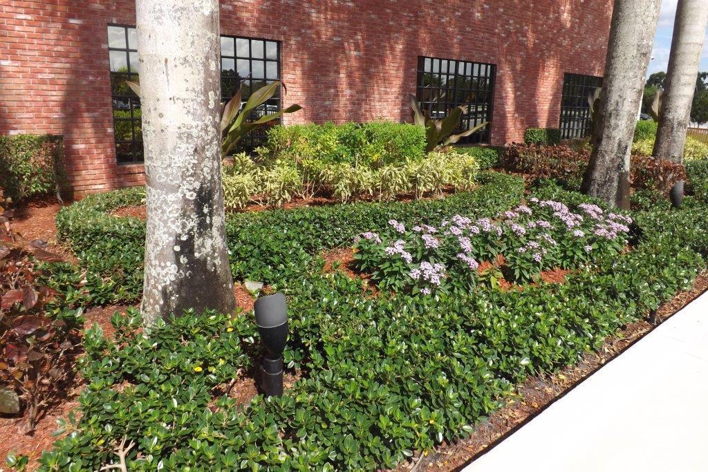 CORNWALL AT CENTURY VILLAGE CONDO - Residential Lease