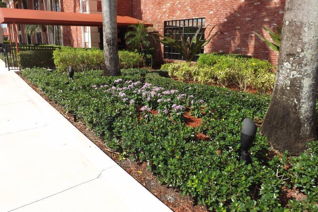 CORNWALL AT CENTURY VILLAGE CONDO - Residential Lease