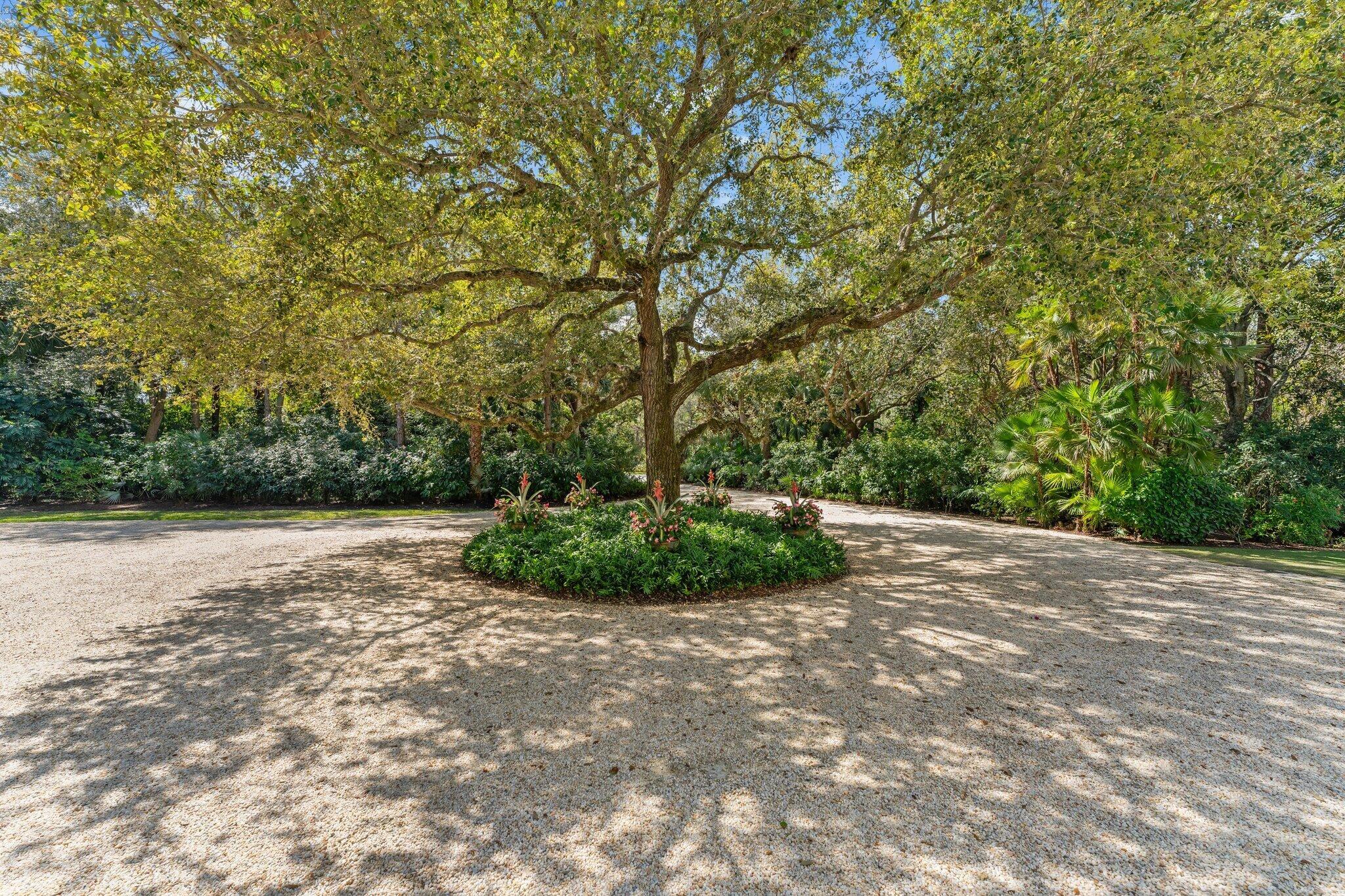 BEARS CLUB - Residential