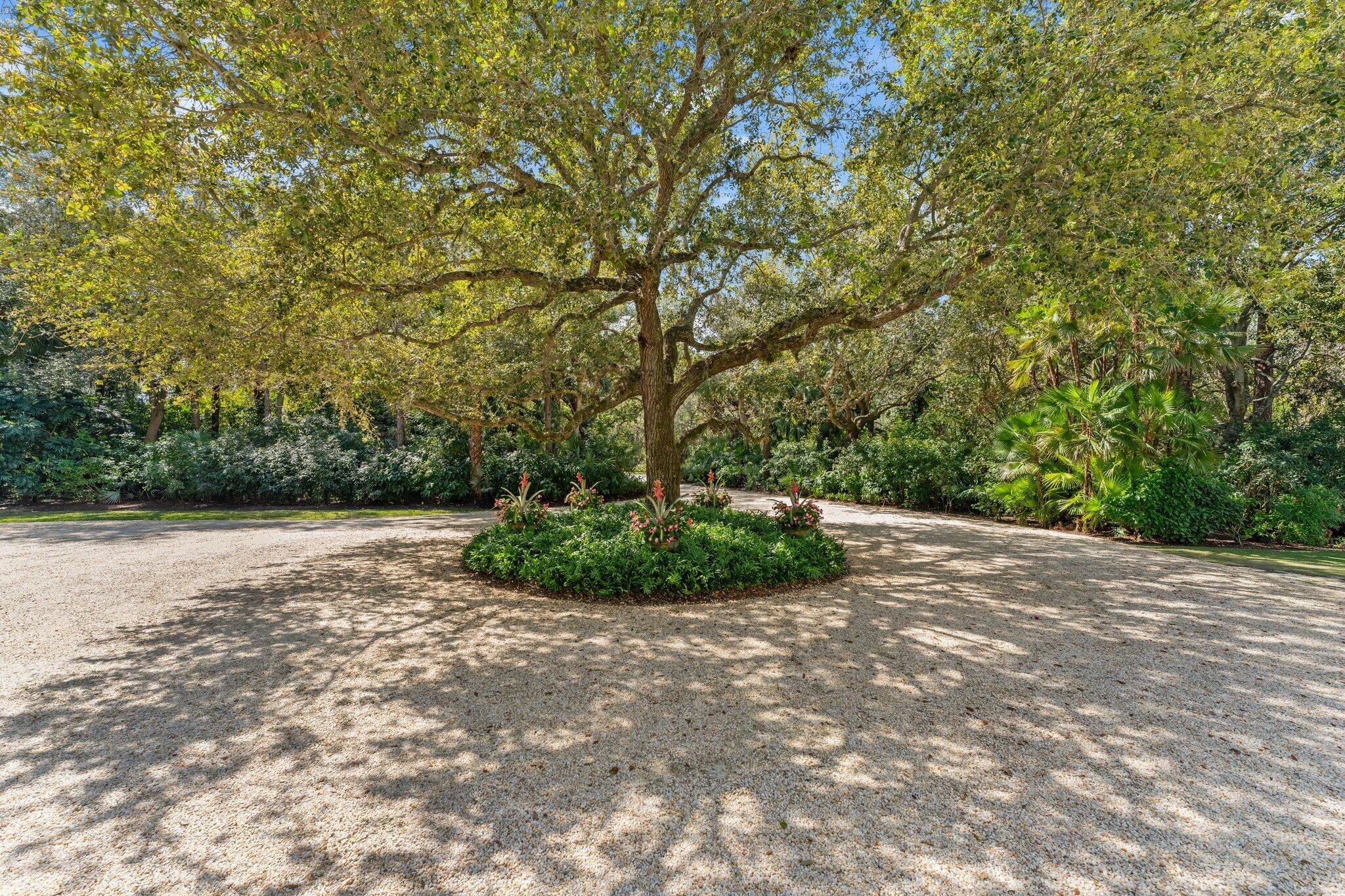 BEARS CLUB - Residential