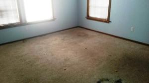 Dreamland Park - Residential