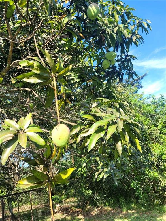 WINSTON PARK SEC ONE-A - Residential