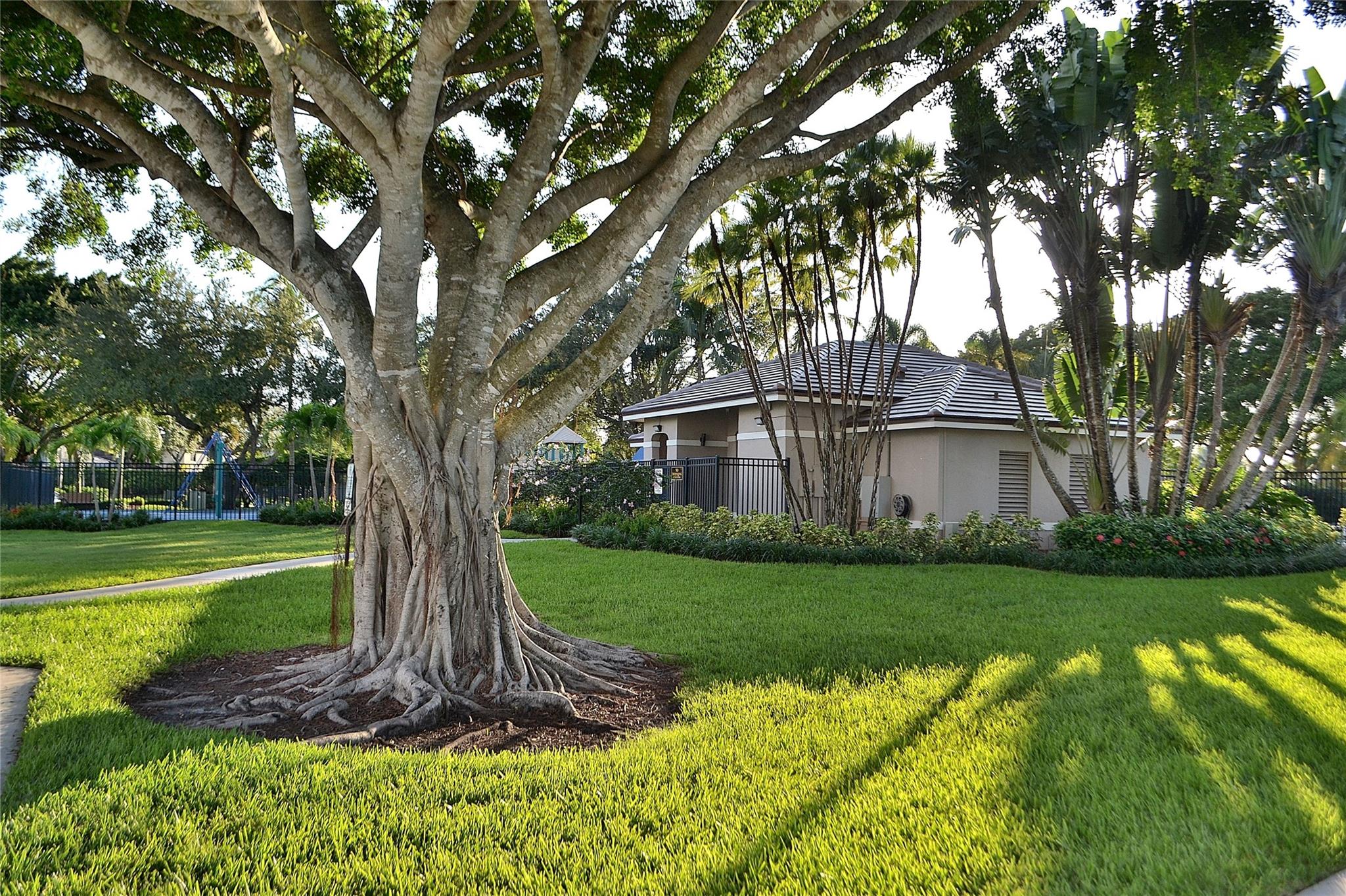 THE MEADOWS - Residential