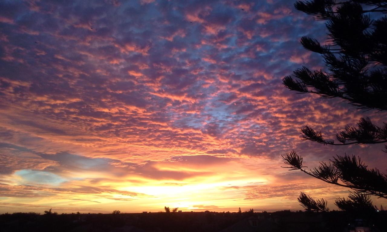 2200 S Ocean Boulevard 805