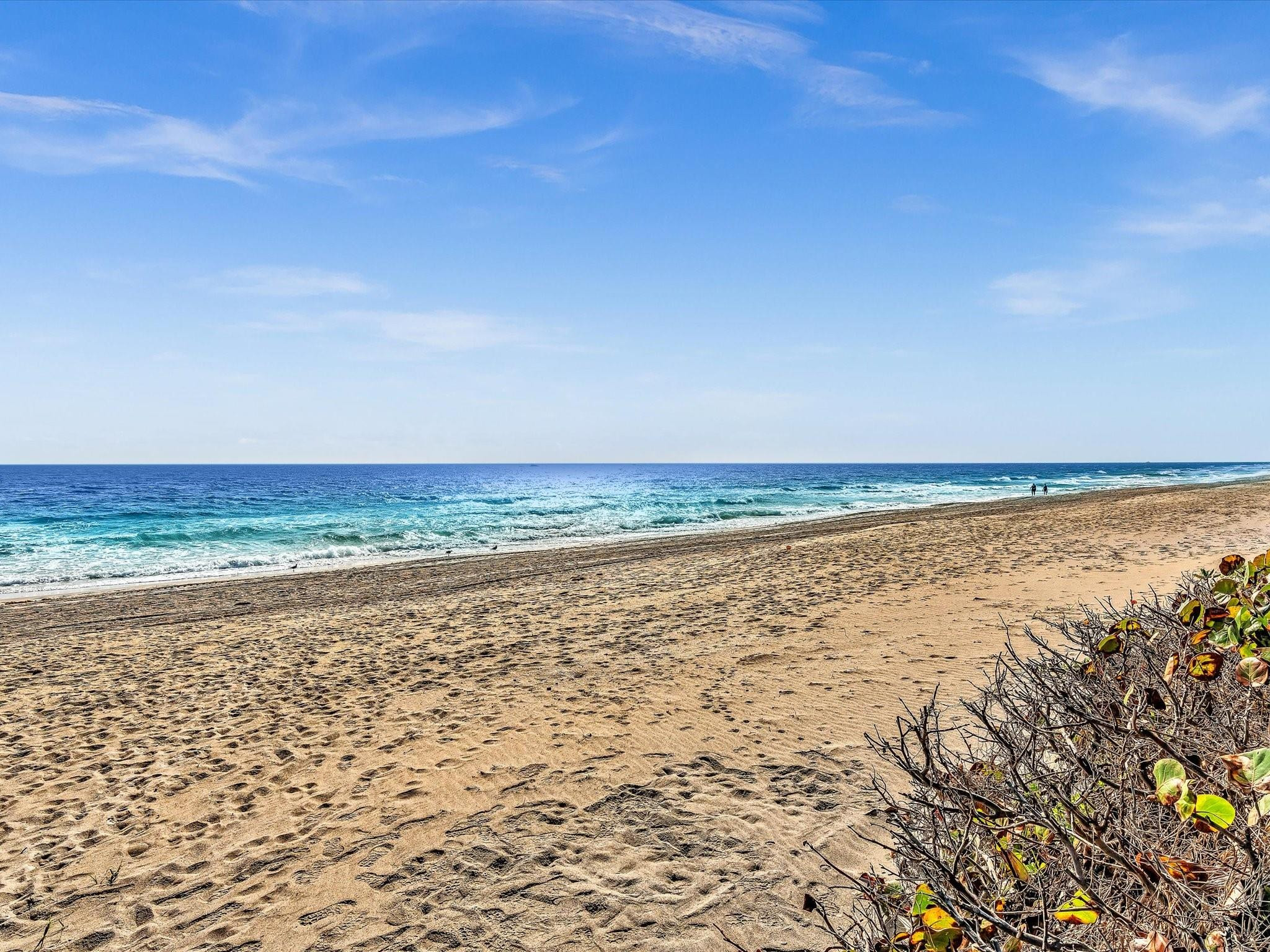 VIRGINIA KAYE CO-OP - Residential Lease