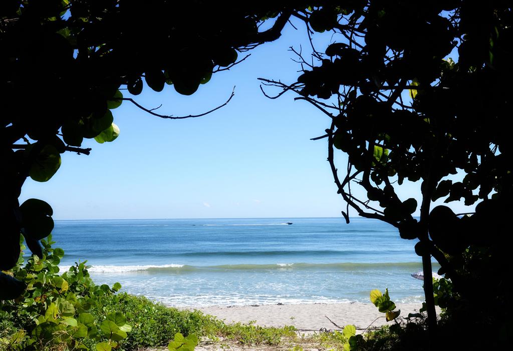 Pennock Place - Residential