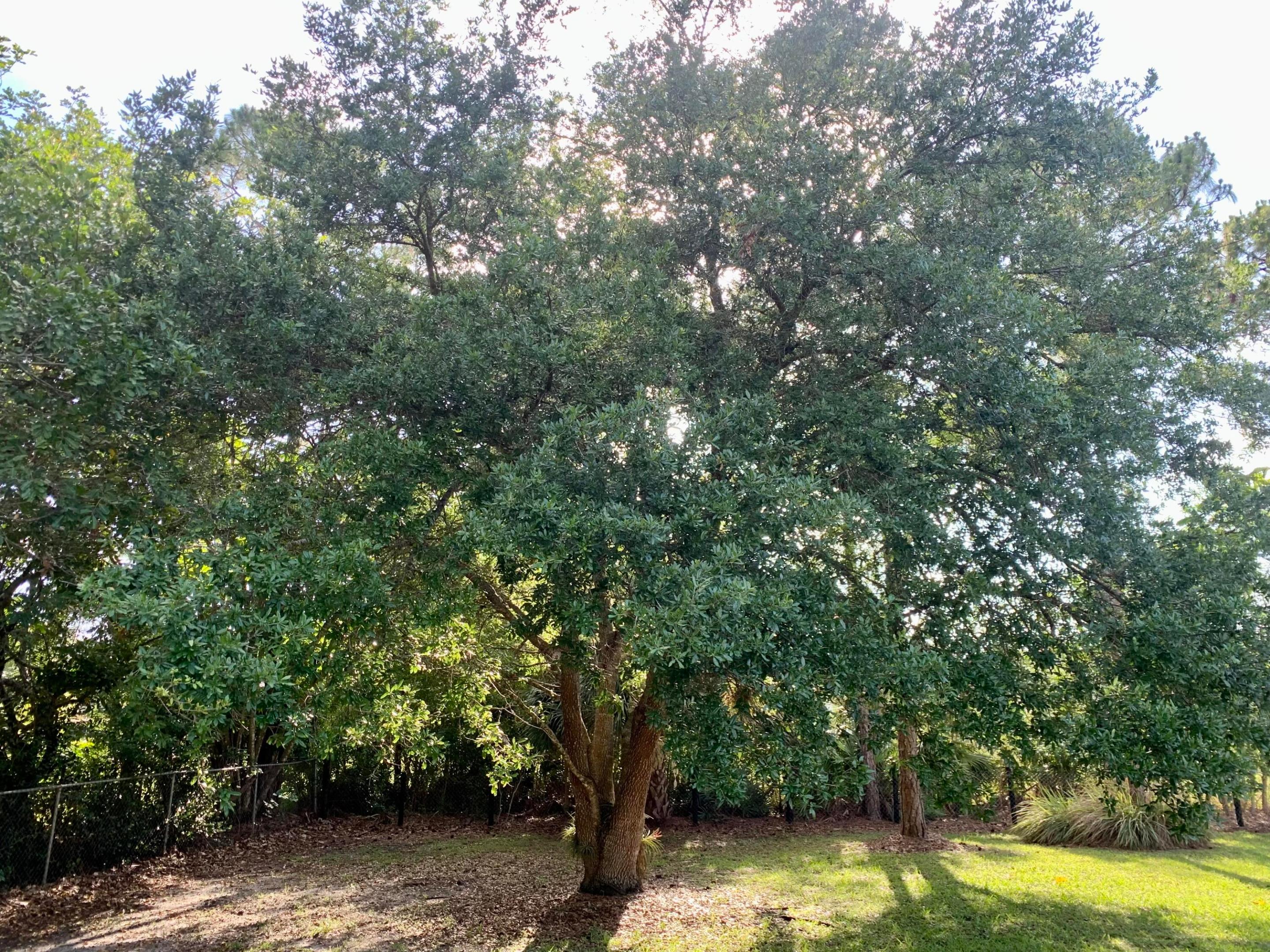 Acreage - Residential