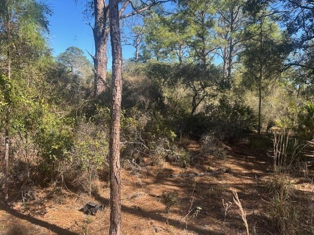 SLAE75 Sun N Lakes Estates - Land