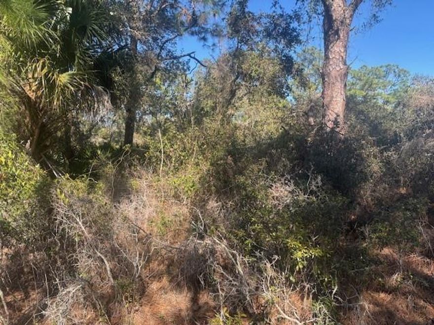 Lake Placid building lot with owner financing.zoning is vacant single family residential