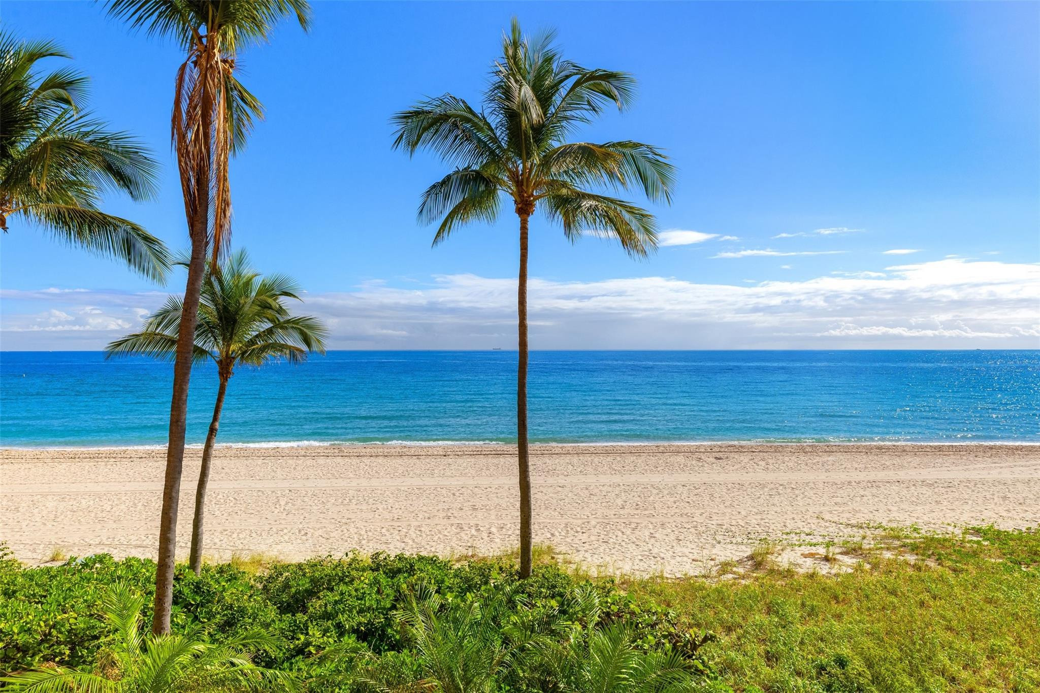 The Palms - Residential