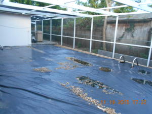 HIGH POINT - Residential