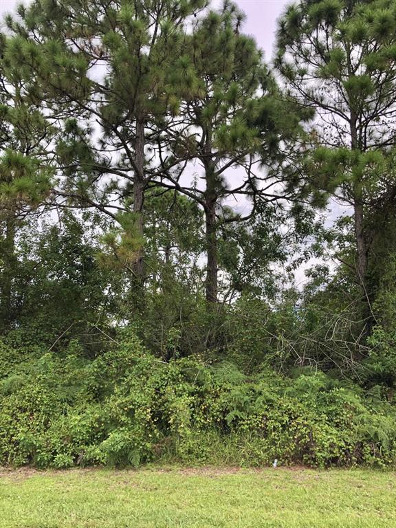 PORT ST LUCIE-SECTION 33 - Land