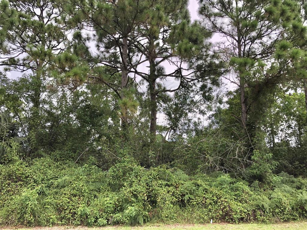 PORT ST LUCIE-SECTION 33 - Land