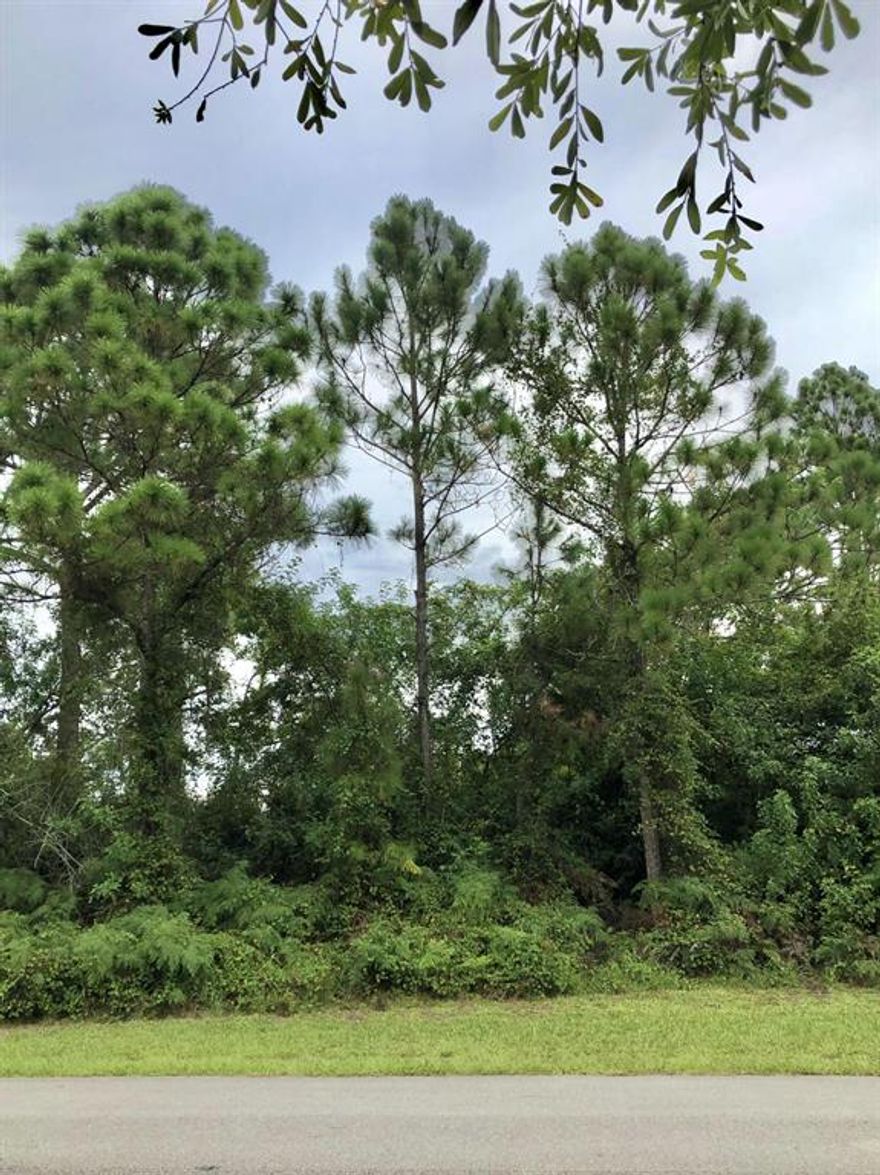 Fantastic lot ready to build your dream home on!!  Great location in the SW section of Port St. Lucie near Becker Rd. & 95 for an easy commute. Just minutes away from Tradition & St. Lucie west shopping, dining & hospitals.