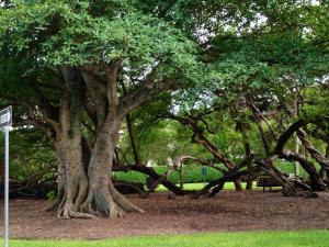 POR LA MAR - Residential Lease