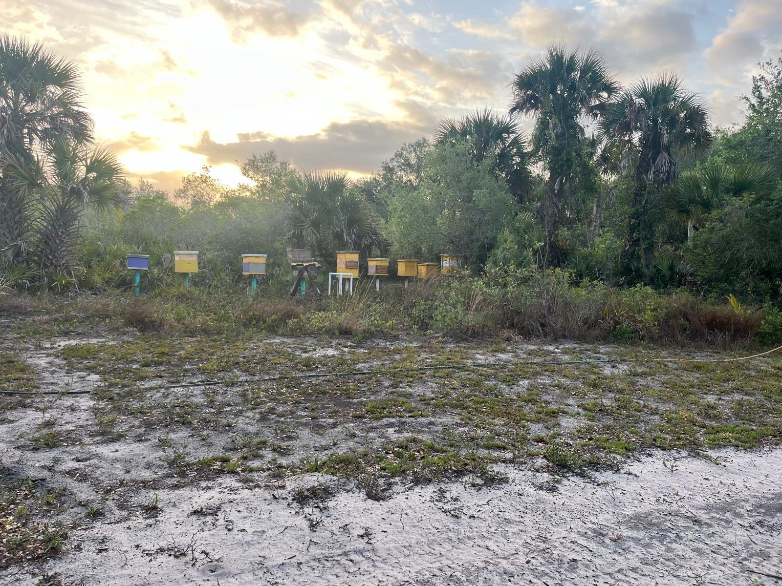 15148 NW 288th St