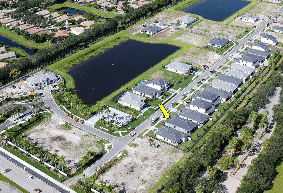 9133 Cape Honey Bee Lane Prestige 9