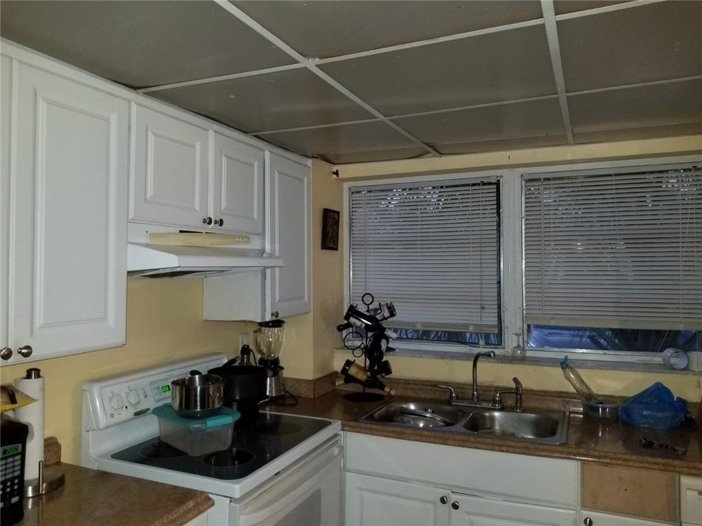 Cypress Tree - Residential