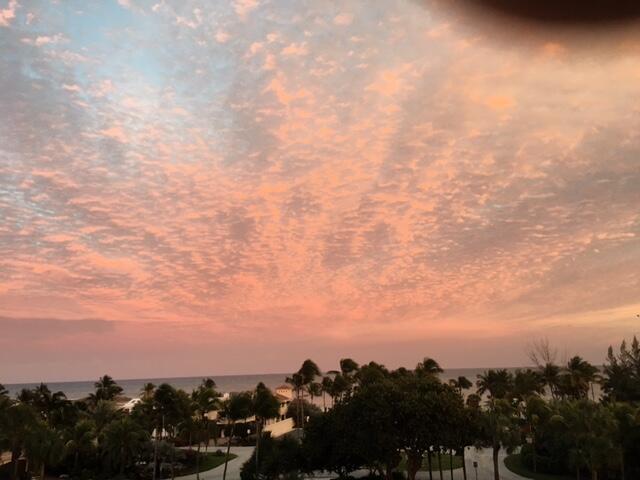 SEA TOWER APTS CO-OP - Residential