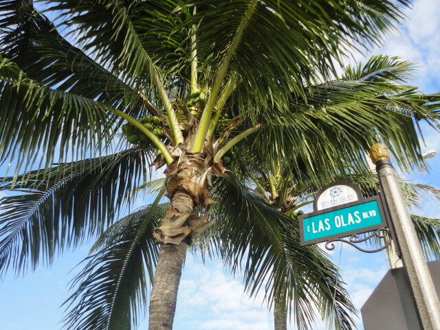 SEA TOWER APTS CO-OP - Residential