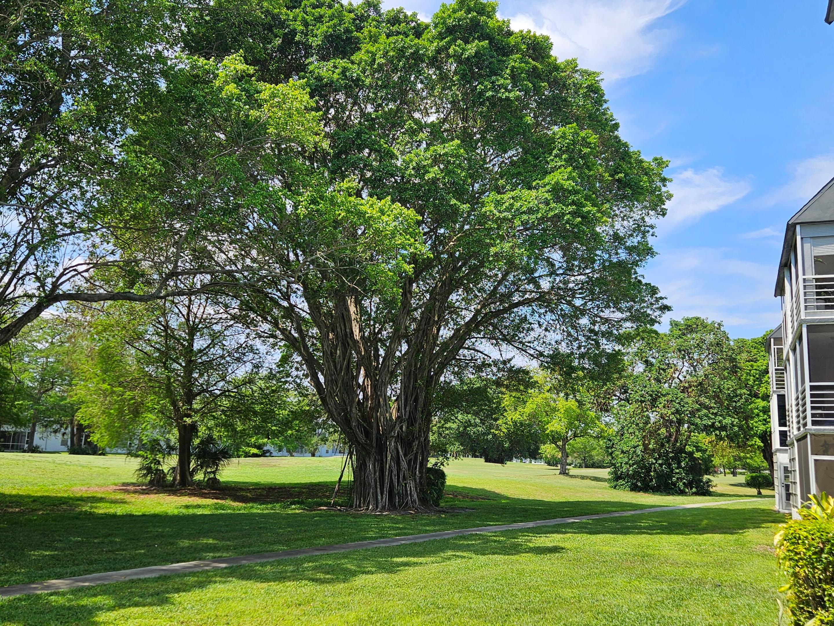 SANDS POINT CONDOMINIUM IV - Residential