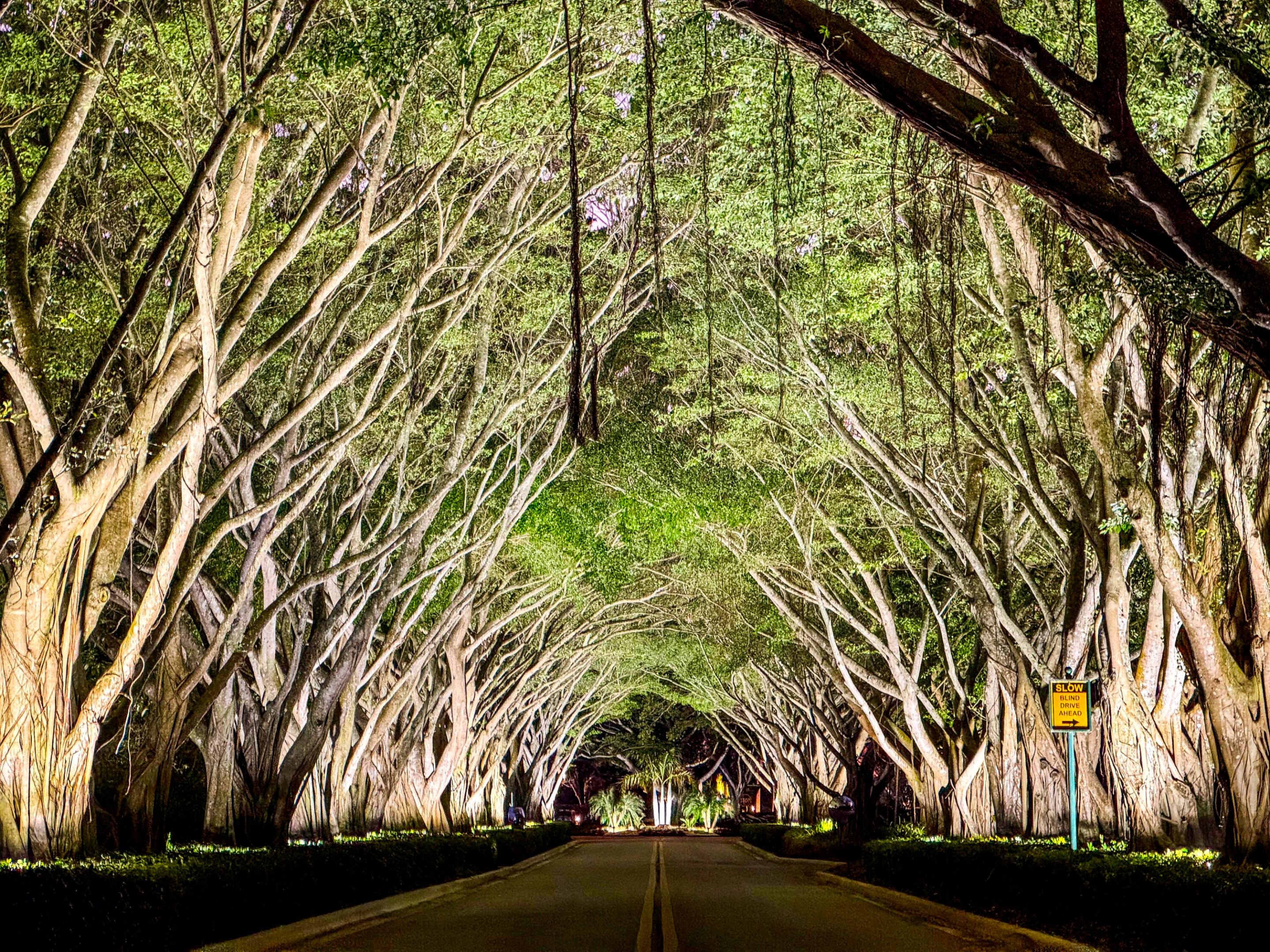 Ironhorse - Residential