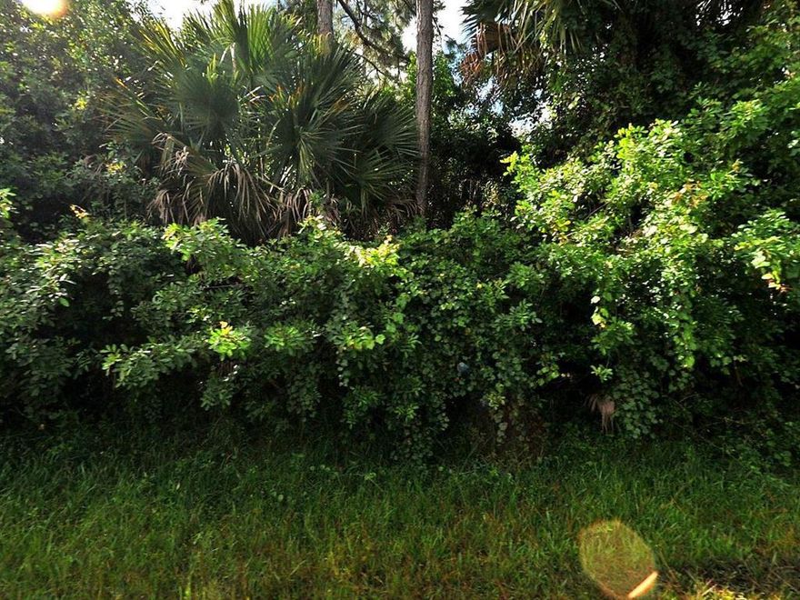 Great Lot, Great Area Close To Schools, Shopping & Restaurants.  Build Your Dream Home!