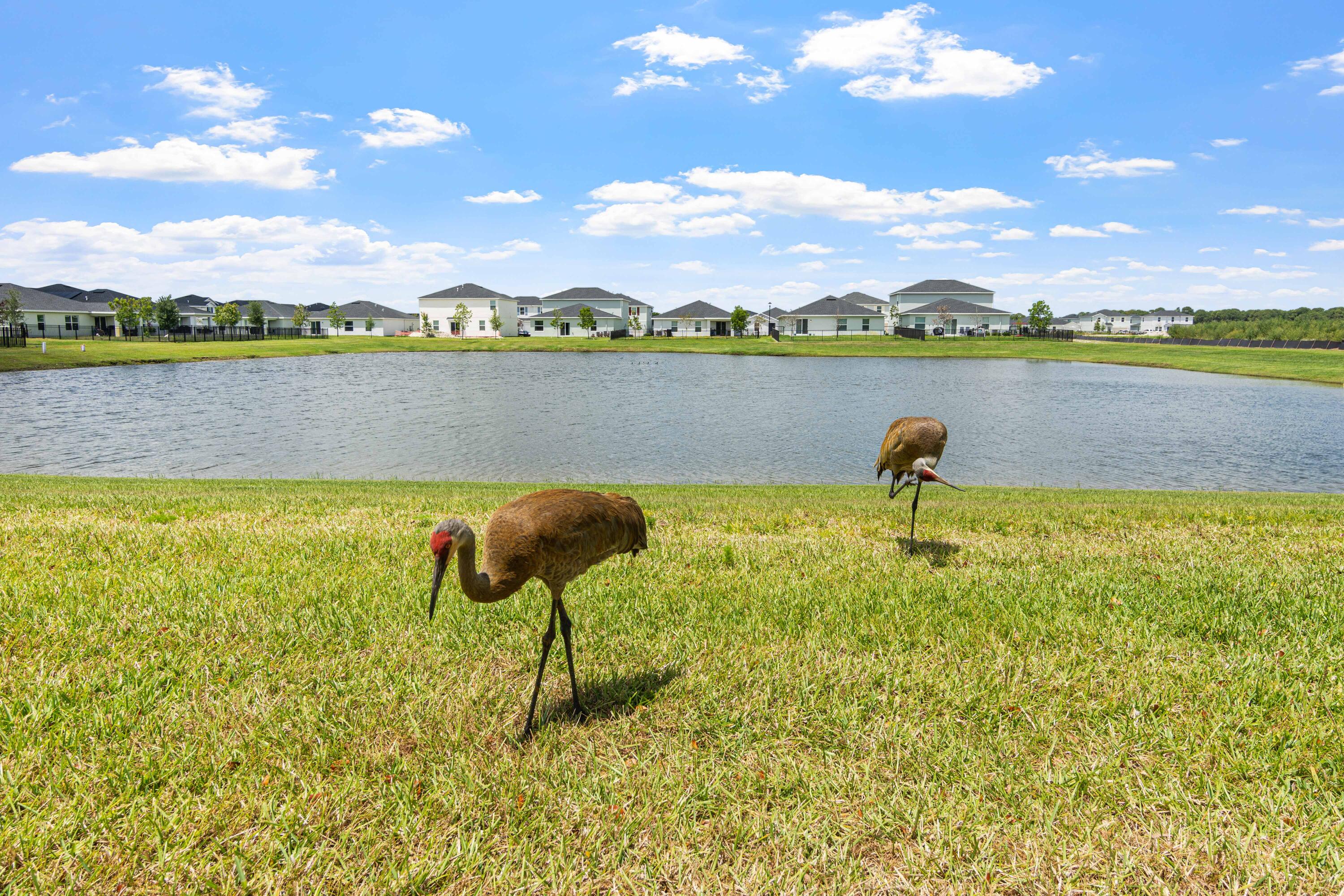 Brystol at Wylder - Residential