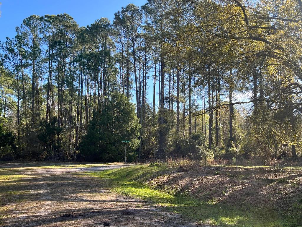 PARADISE LAKES SUB - Land