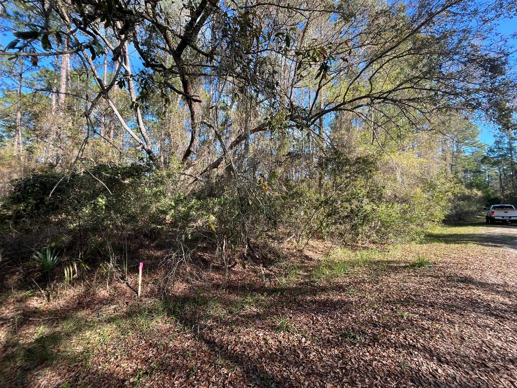 PARADISE LAKES SUB - Land