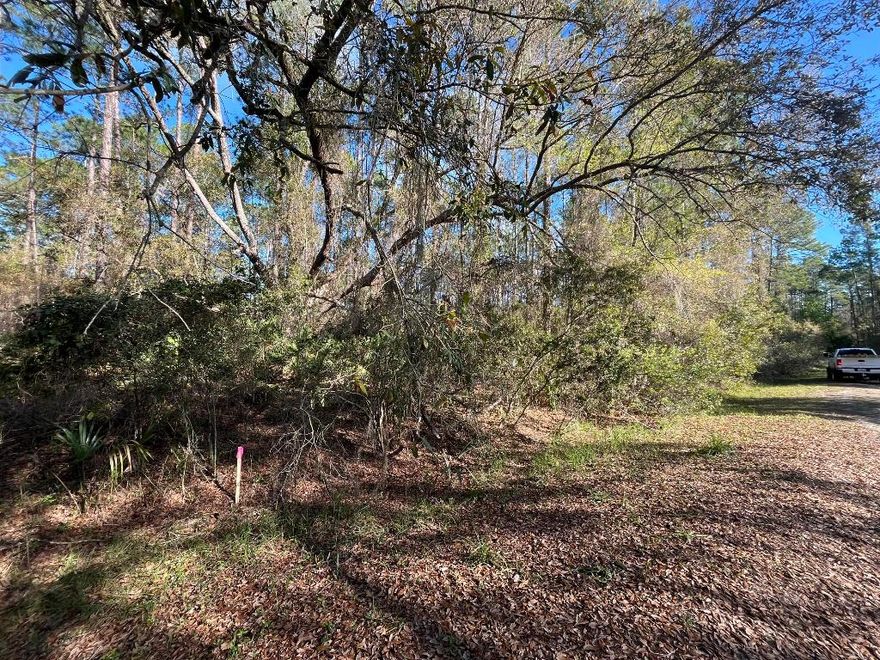 Owner Finance available! Discover the best of country living with this beautiful 0.23-acre wooded lot in Georgetown! This property is the perfect setting for your dream home, whether you choose to build or bring in a mobile home. Enjoy easy access to the St. Johns River Rod & Reel Club, a boat ramp, and a fishing pier on Lake George. Spend your days boating and fishing on the river and lake, or take a refreshing swim in the stunning Salt Springs Silver Glen Spring. Owner financing is available for this property. Come see it today!