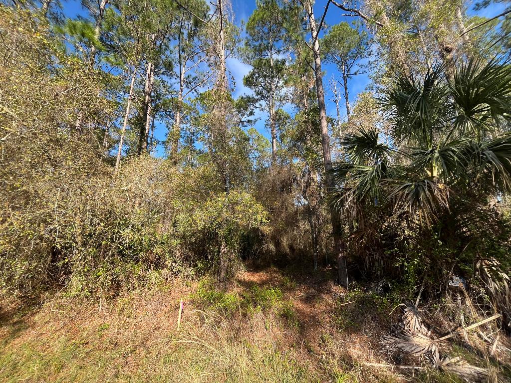 PARADISE LAKES SUB - Land