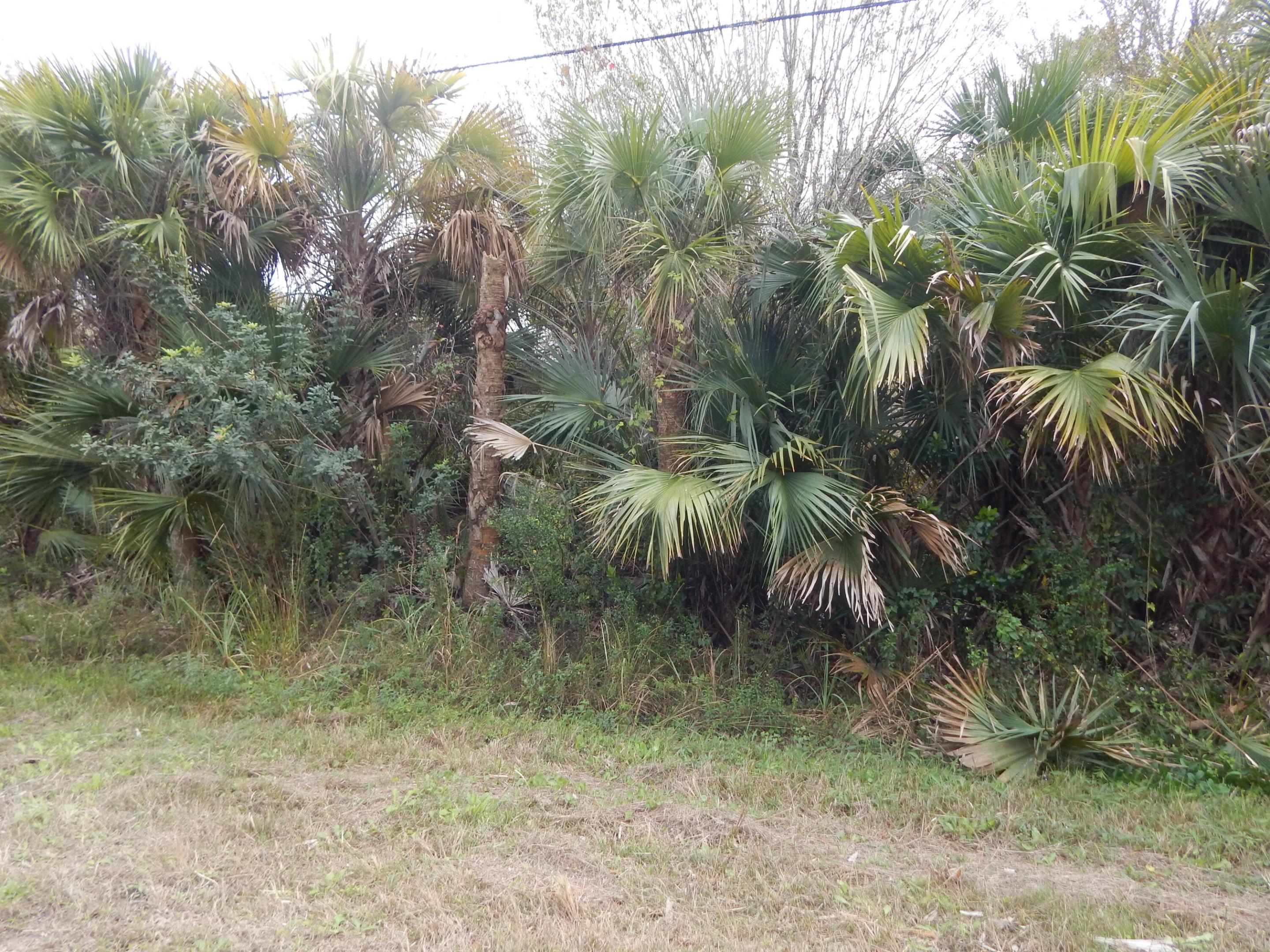 MONTURA RANCHES ESTATES 1 ST S/D - Land