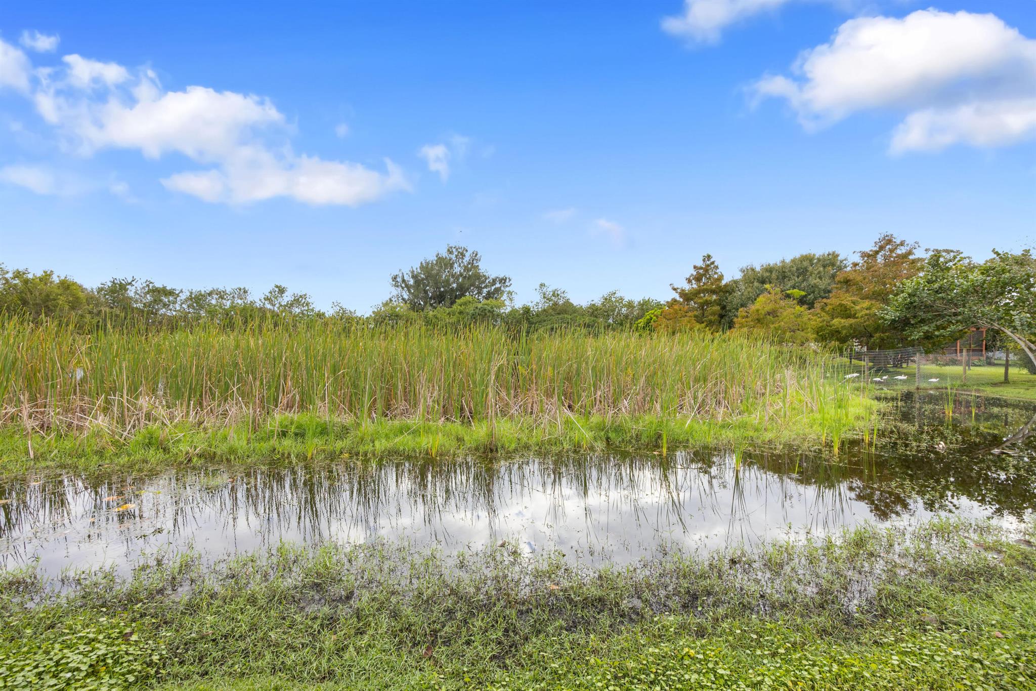 GENTILE LAND - Residential