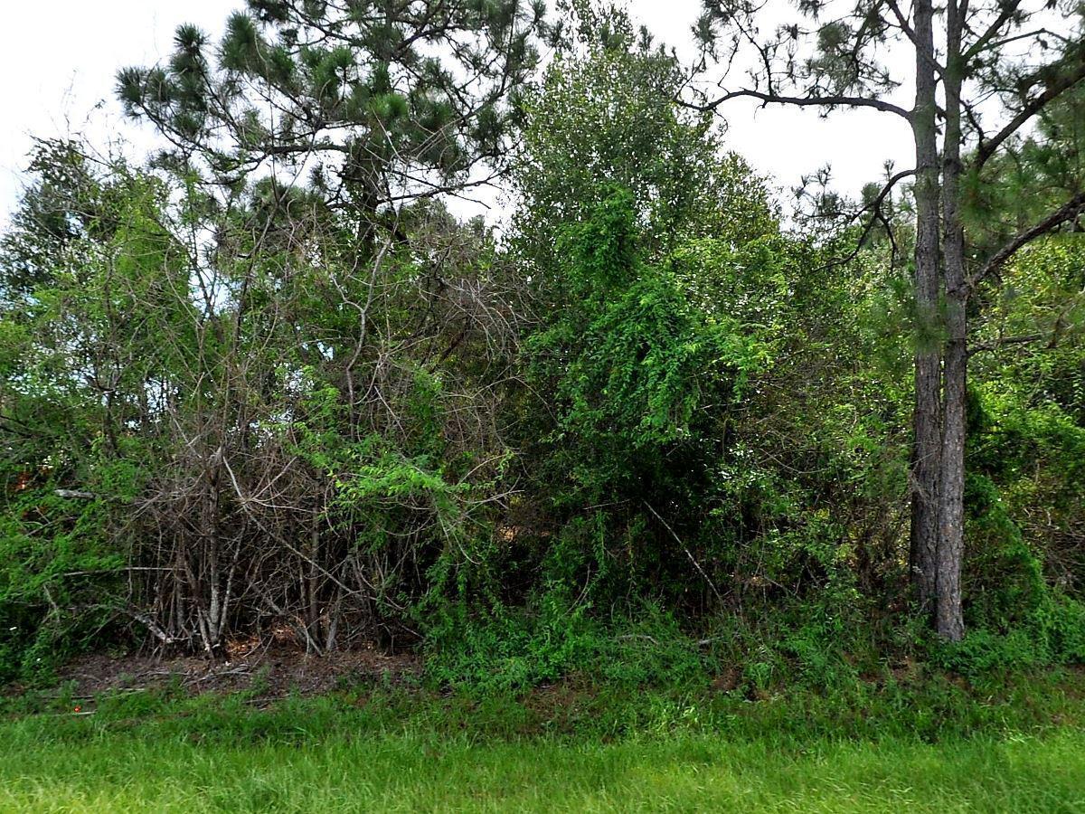Quarter-Acre lot. Perfect lot to build your home. Quiet area. NO HOA. Quick access to I-95 and Turnpike. Minutes from hospitals, schools and beaches.