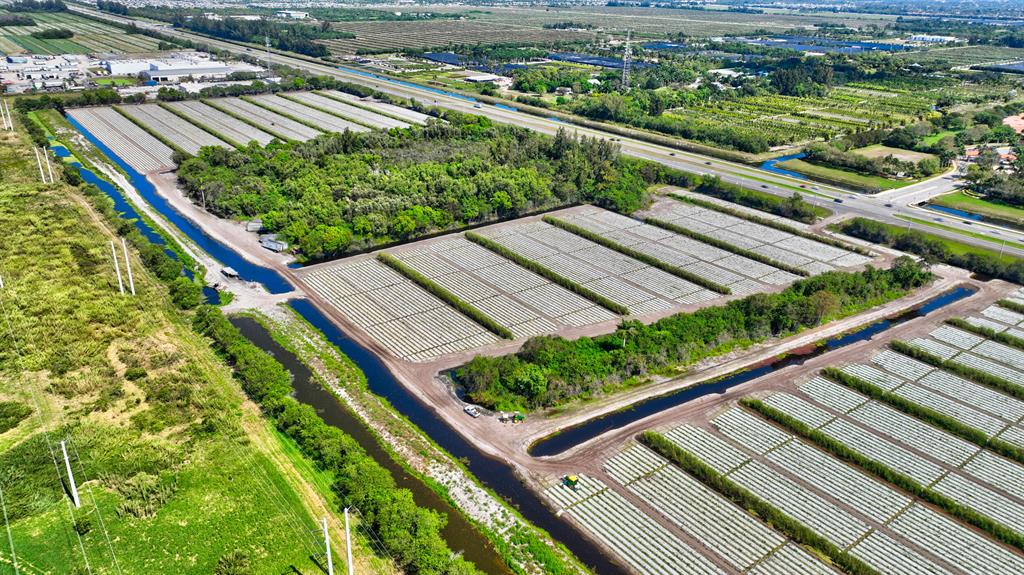 PRESERVE PAR 1 441 ATLANT - Land