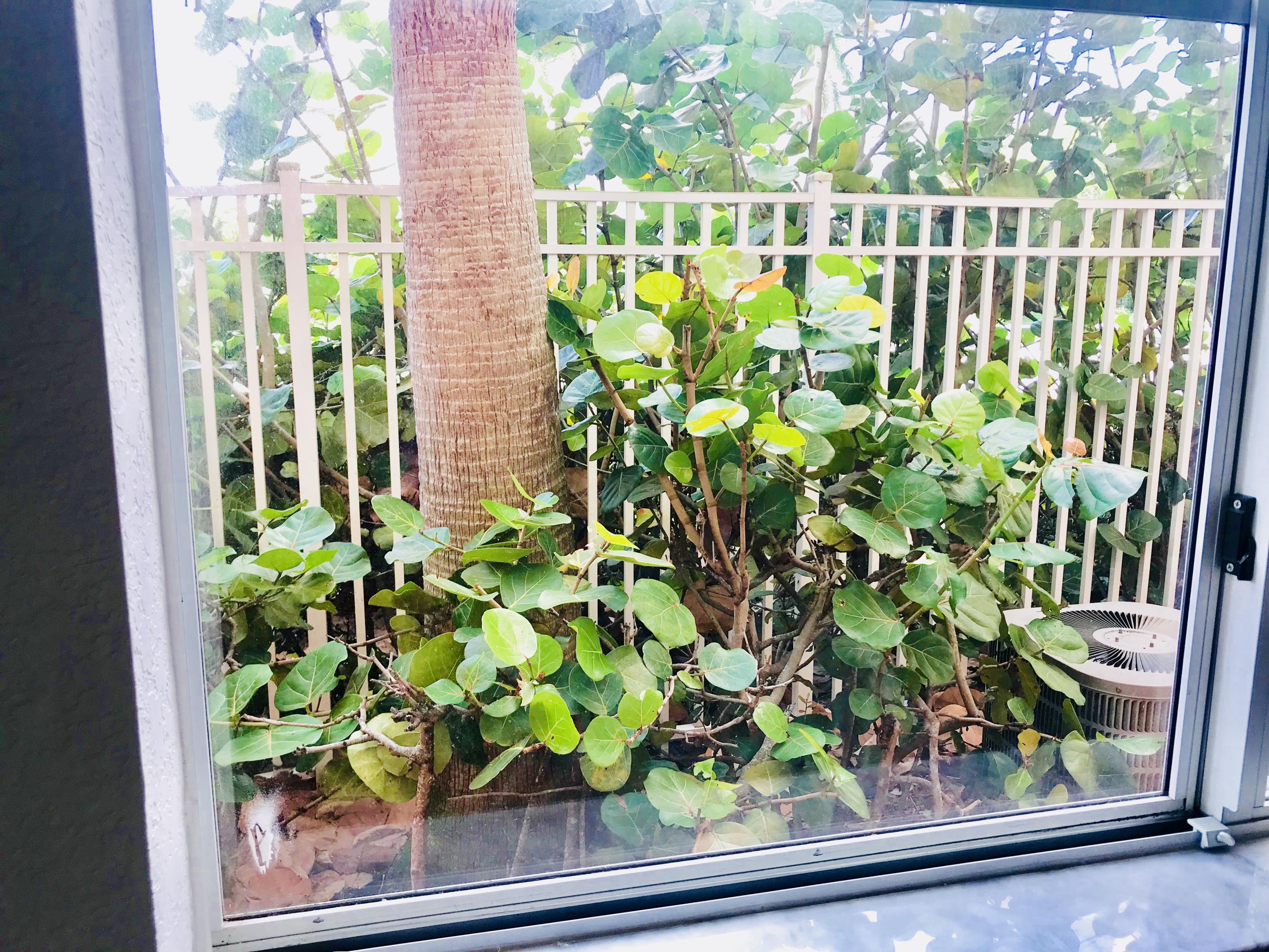 RESIDENCES AT LEGACY PLACE CONDO - Residential Lease