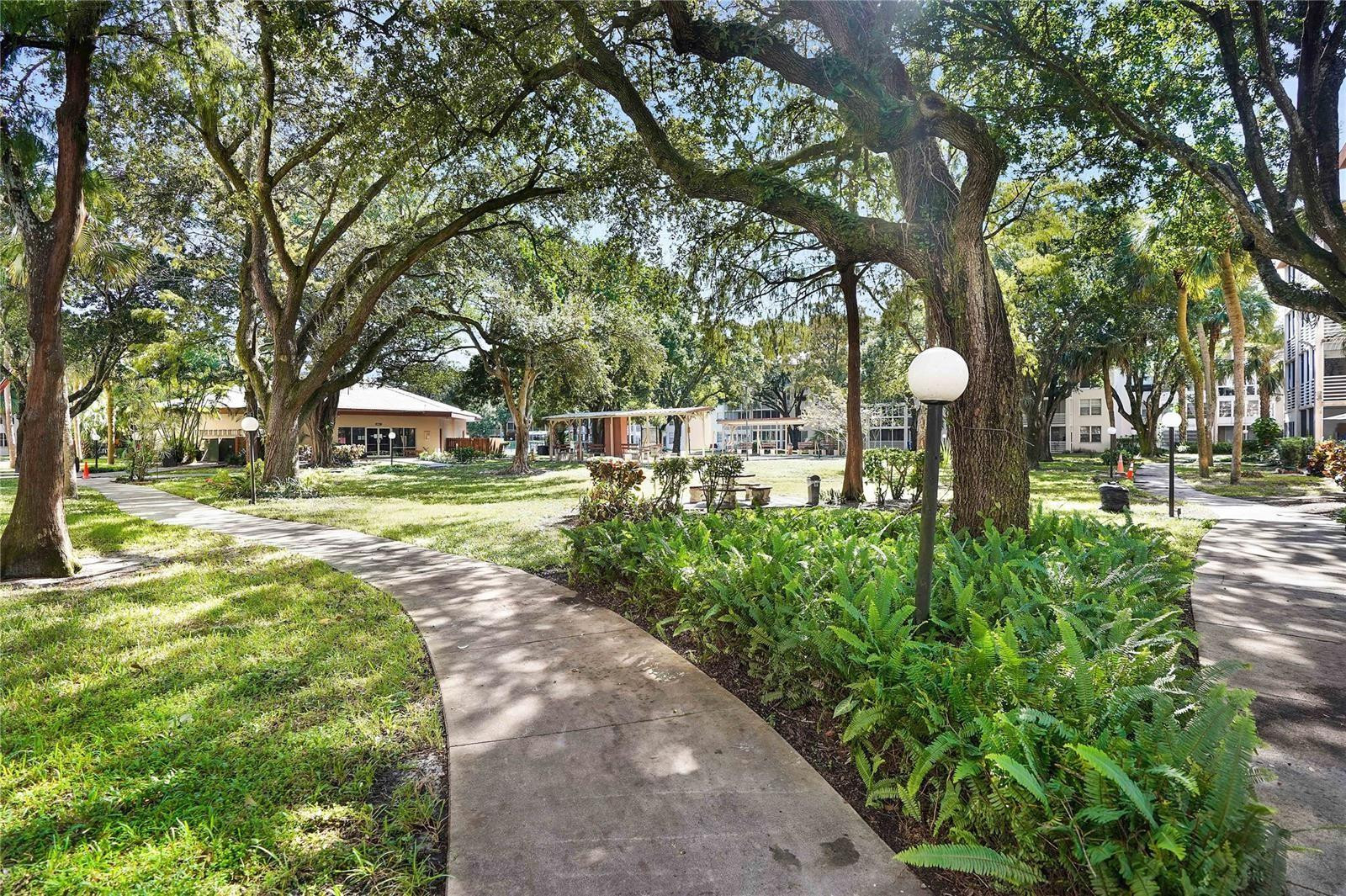 Cypress Chase Condo D - Residential