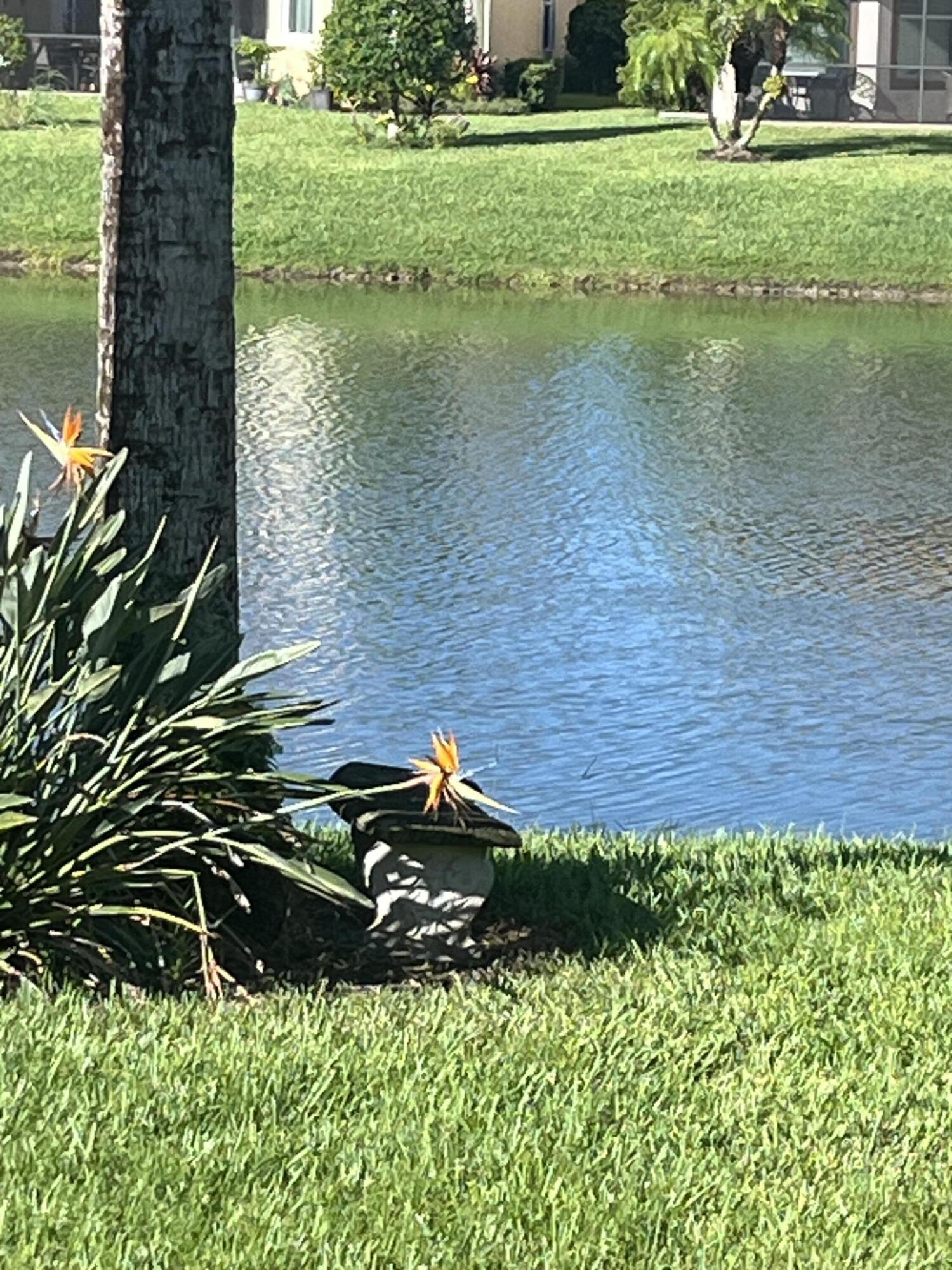 VERANO PUD NO. 1 PLAT NO. 10 - Residential