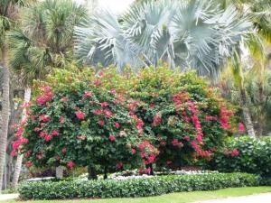 MAIDSTONE 1 OF PALM BEACH - Residential