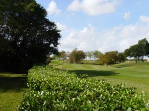 MAIDSTONE 1 OF PALM BEACH - Residential