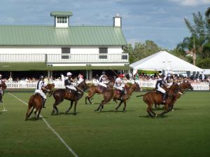 MAIDSTONE 1 OF PALM BEACH - Residential