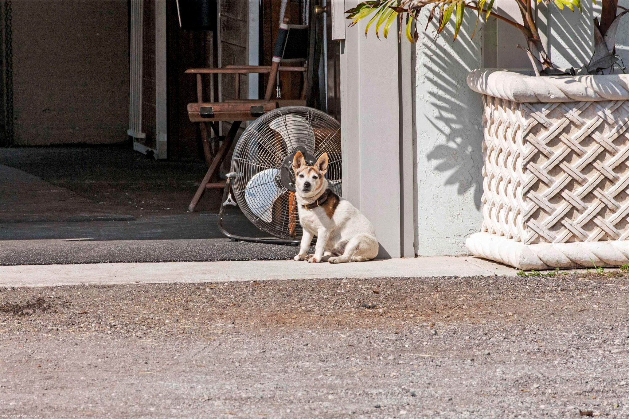 SADDLE TRAIL PARK OF WELL - Residential