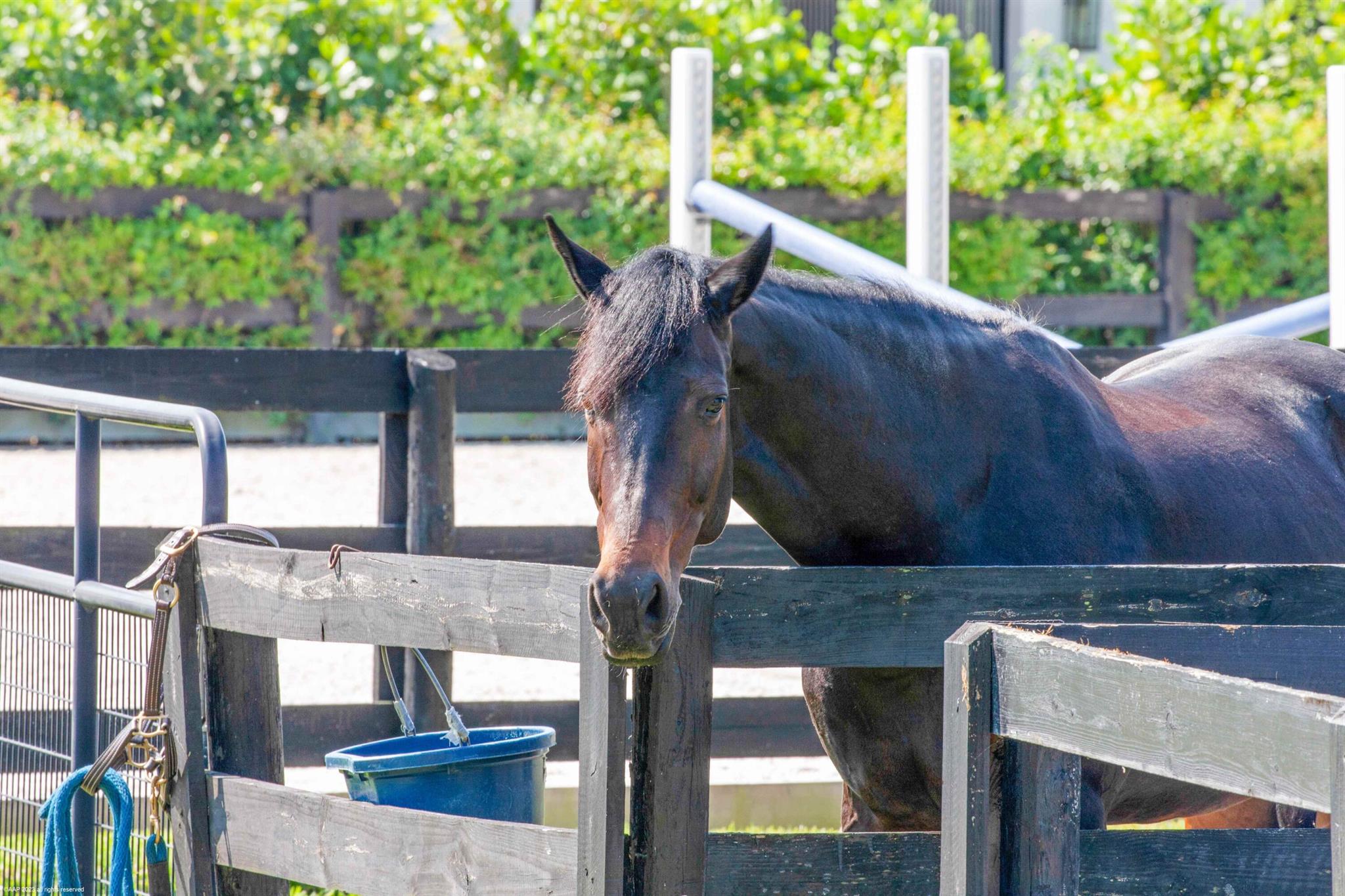 SADDLE TRAIL PARK OF WELL - Residential